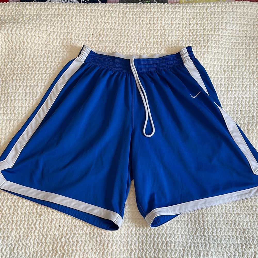 Nike Men's Blue Athletic Shorts